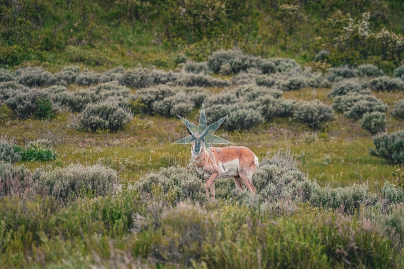 Wyoming, 2025