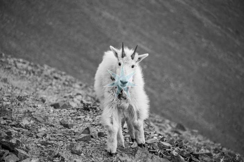 'Another Kid at the Crag'